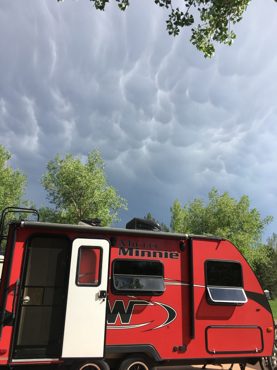 thumbnail_IMG_3662[1]