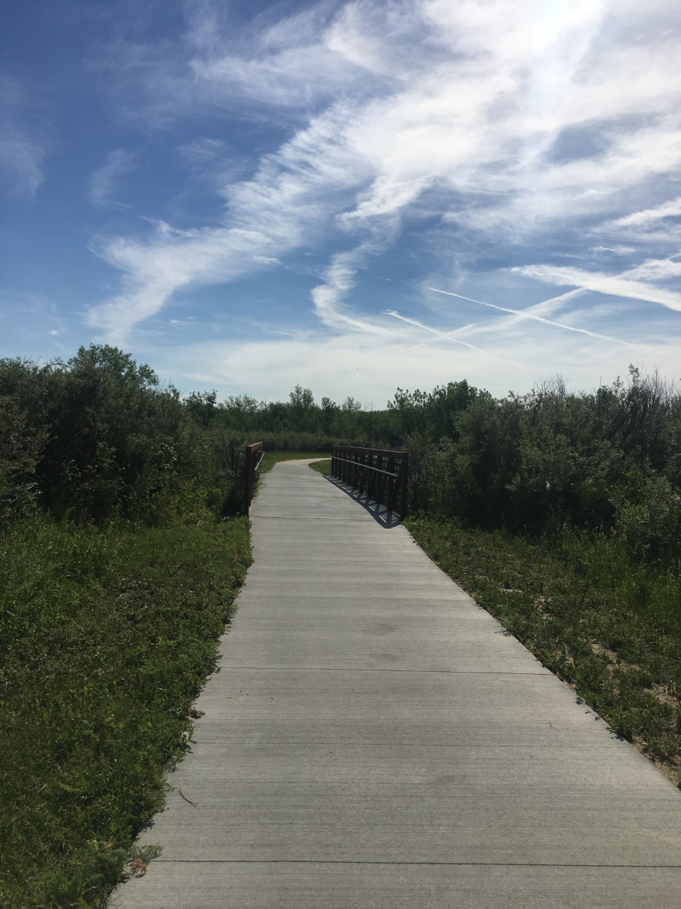 thumbnail_IMG_3782[1]