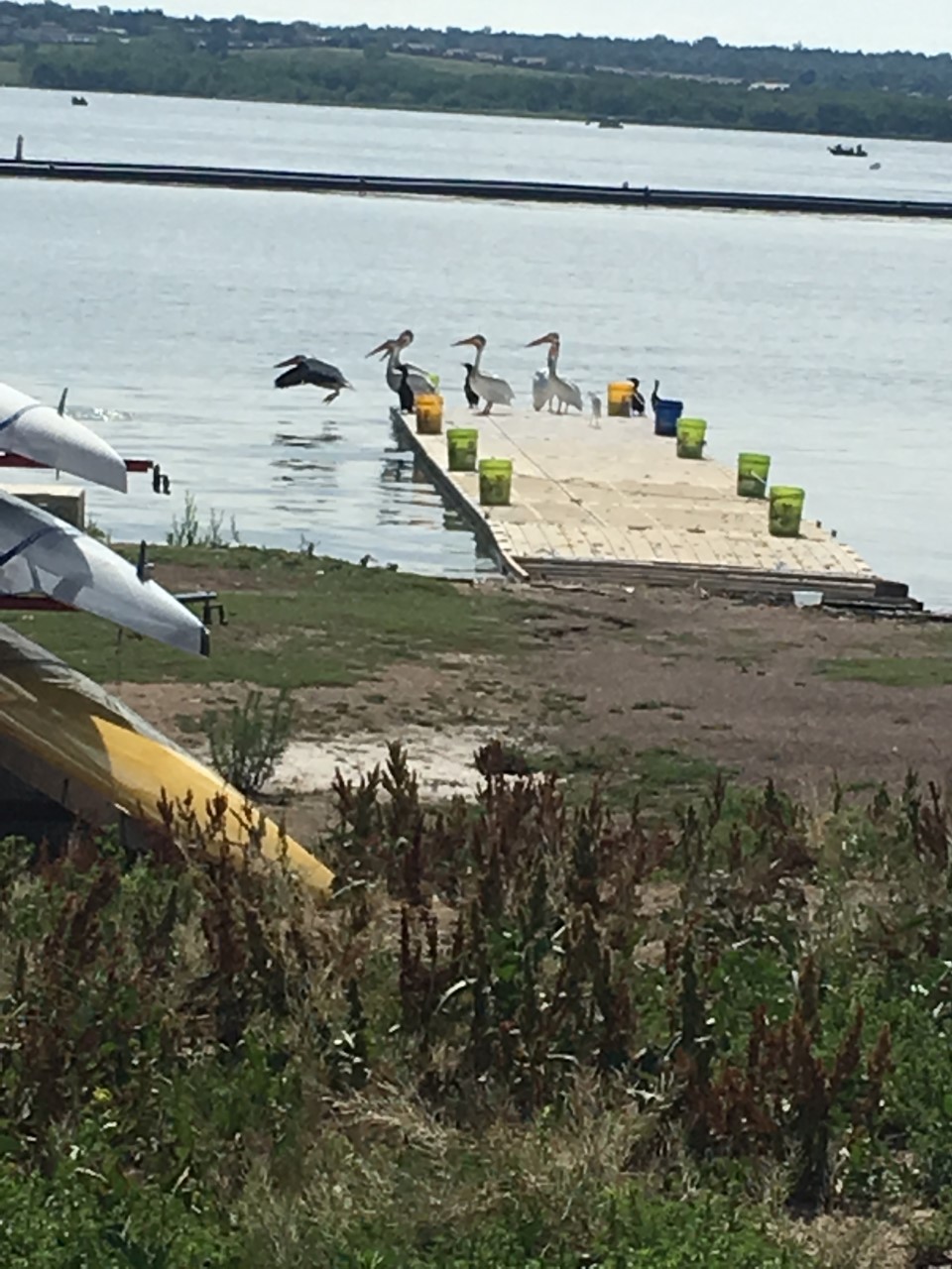 thumbnail_IMG_3786[1]