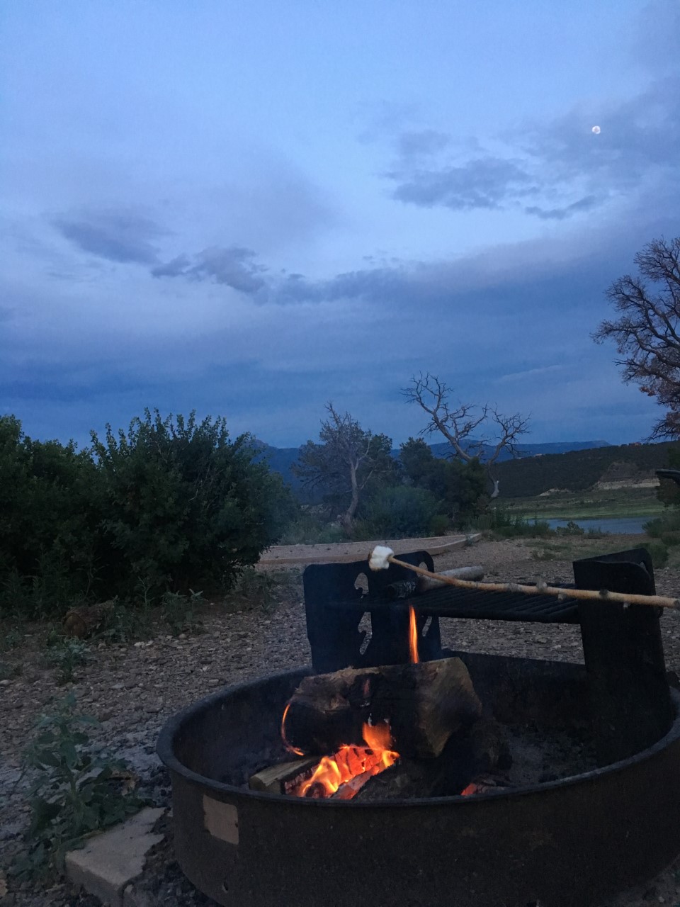 thumbnail_IMG_3942[1]